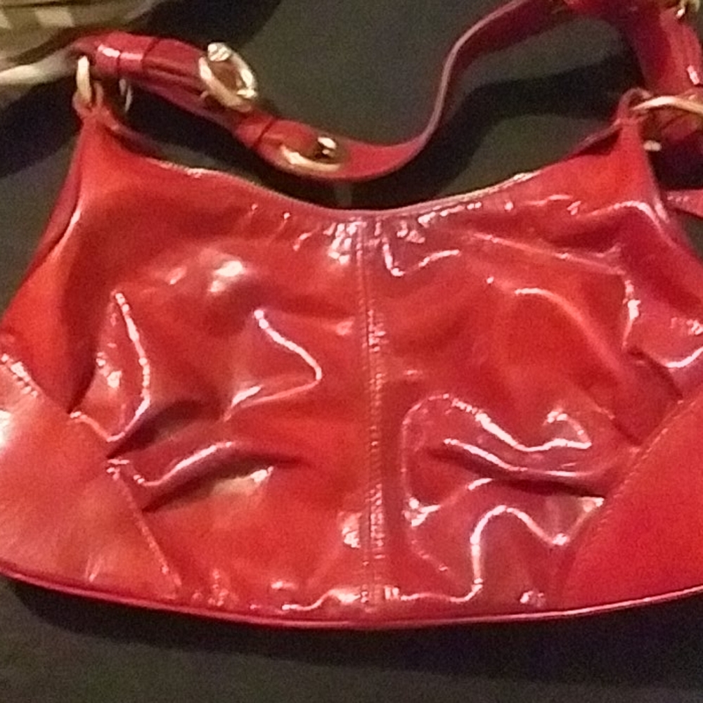Reed Francesco biasia purse